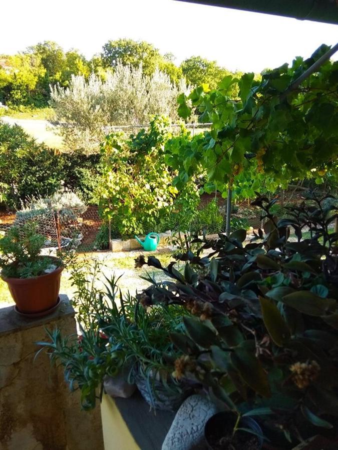 Apartman Garma Rovinj Bagian luar foto