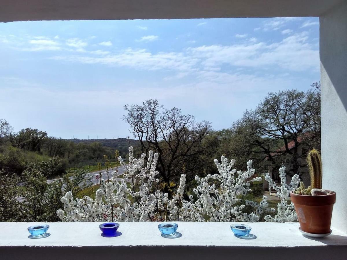 Apartman Garma Rovinj Bagian luar foto